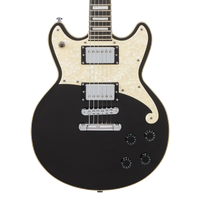 D'Angelico Premier Brighton Black Flake B-Ware