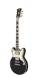 D'Angelico Premier Brighton Black Flake B-Ware