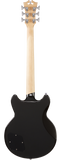 D'Angelico Premier Brighton Black Flake B-Ware