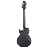 Aria Pro II PE-350RK Aged Black, Ausstellungsstück Guitar Summit 2026