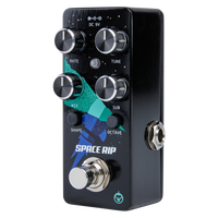 Pigtronix Space Rip