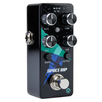 Pigtronix Space Rip
