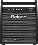 ROLAND PM-100 Personal Drum Monitor